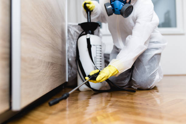 Best Insect Control  in Meridian, CO