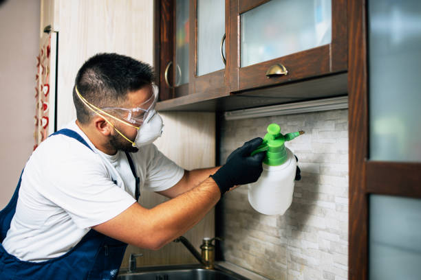 Best Best Pest Control Companies  in Meridian, CO