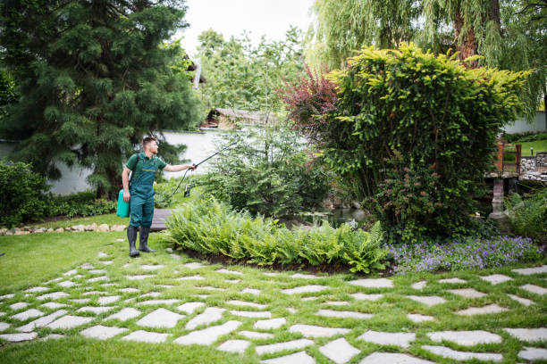Best Ant Control Services  in Meridian, CO