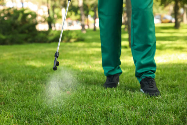 Best Best Pest Control Companies  in Meridian, CO