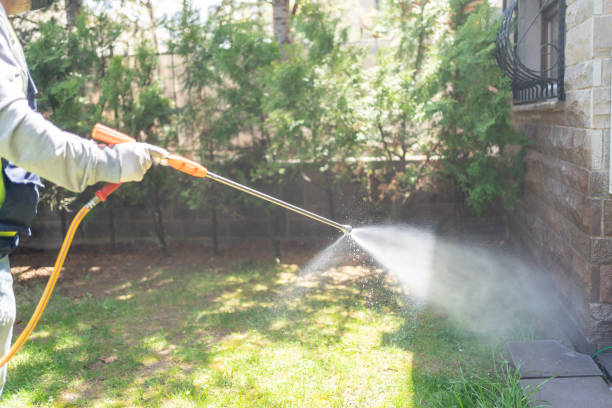 Best Termite Control Services  in Meridian, CO