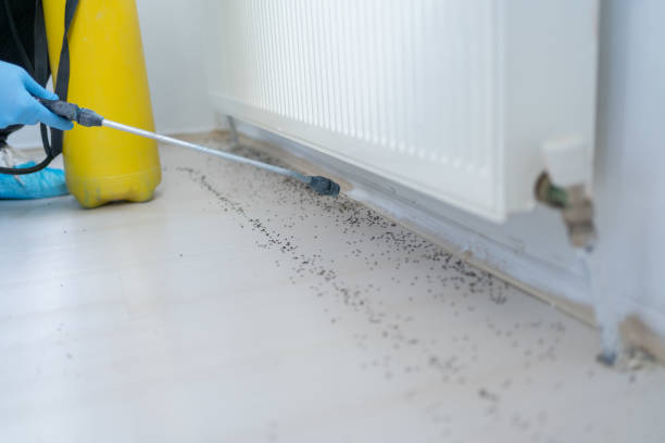 Best Pest Control for Businesses  in Meridian, CO
