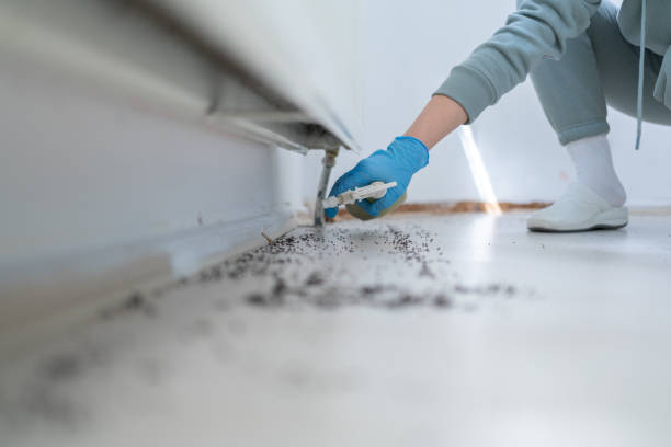 Trusted Meridian, CO Pest Control Experts