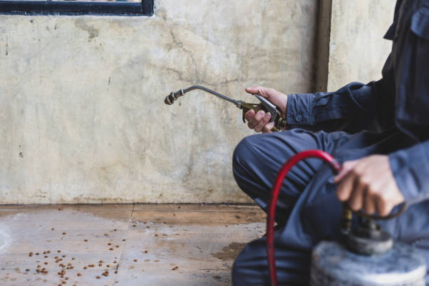 Best Exterminator Services  in Meridian, CO
