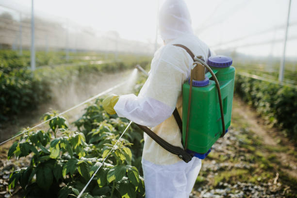 Best Pest Control for Businesses  in Meridian, CO